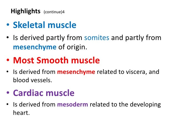 Epithelial Tissue Pdf